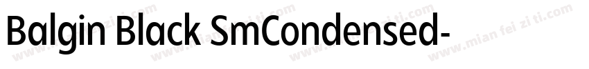 Balgin Black SmCondensed字体转换